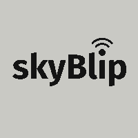 The parked screen of a device that has been switched off: the skyBlip wordmark, held by the e-paper with no power
